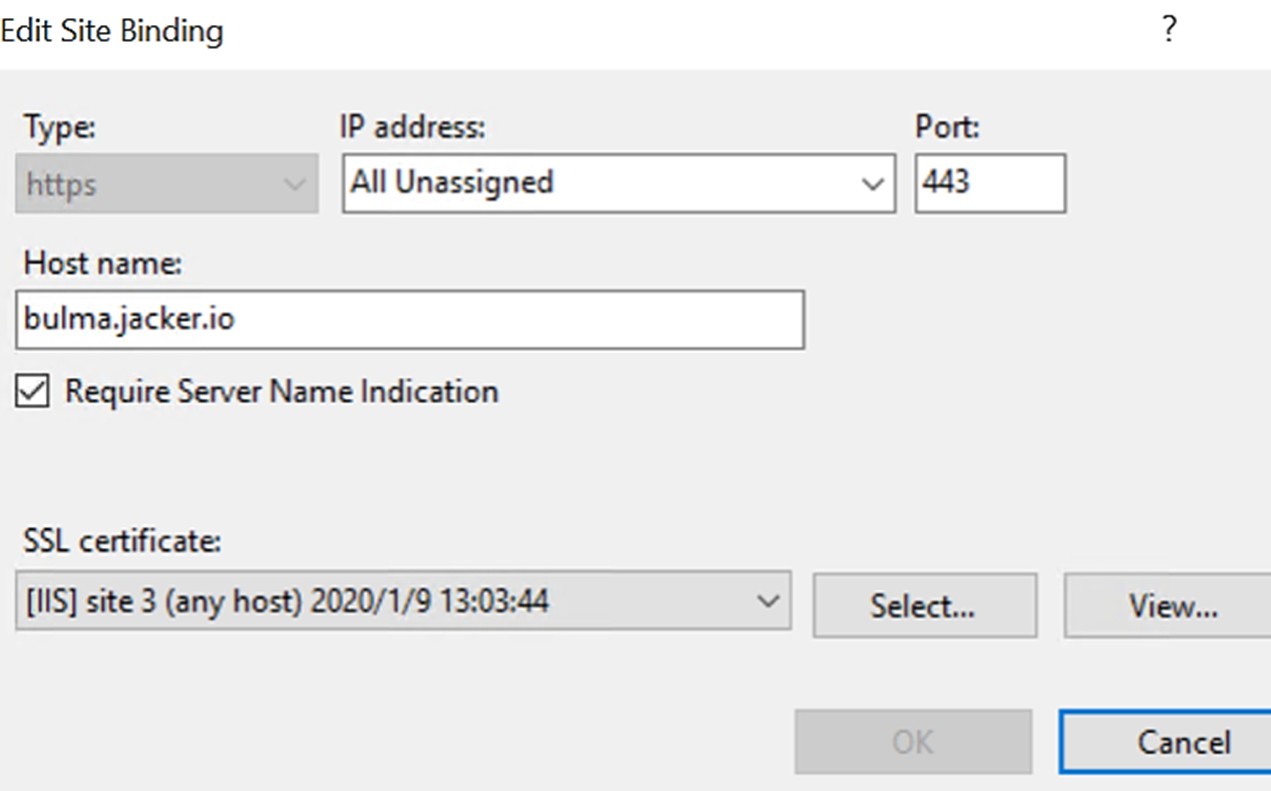 Go to IIS manager to verify that the SSL certificate binding has now been applied to your site. Checkout your new IIS binding!